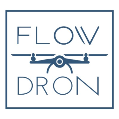 Flowdron's Logo