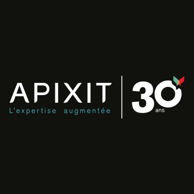 APIXIT's Logo