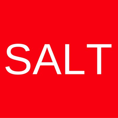 Salt Design & Infra Services Pvt. Ltd.'s Logo