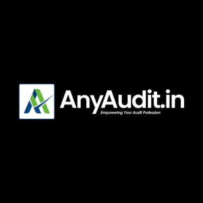 Any Audit's Logo