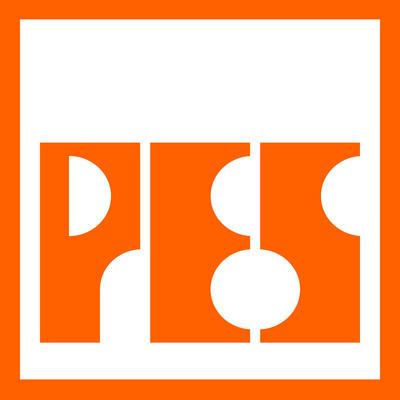 Pakistan Engineering Services (Pvt.) Ltd's Logo