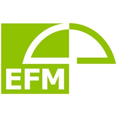 EFM energie- & subsidiepartners's Logo