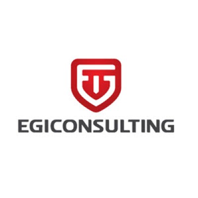 EGI Consulting - a Dallas TX based MBE firm's Logo