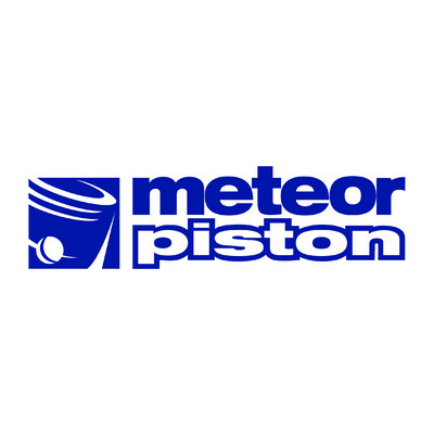 METEOR PISTON S.R.L.'s Logo