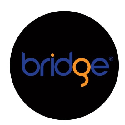 BridgeGIA's Logo