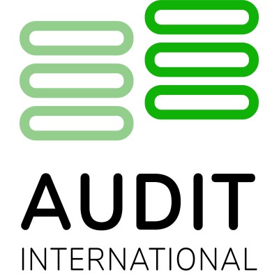 Audit International's Logo