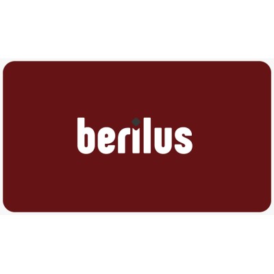 Berilus Consulting's Logo