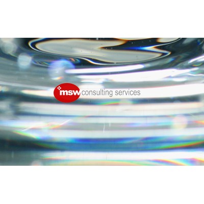 msw_Consulting Services Ltd.'s Logo