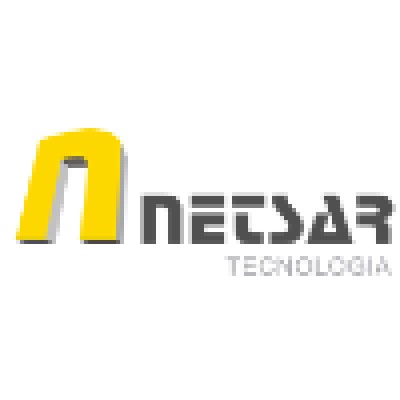 NetSAR's Logo