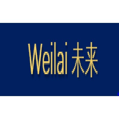 Weilai Soluções's Logo