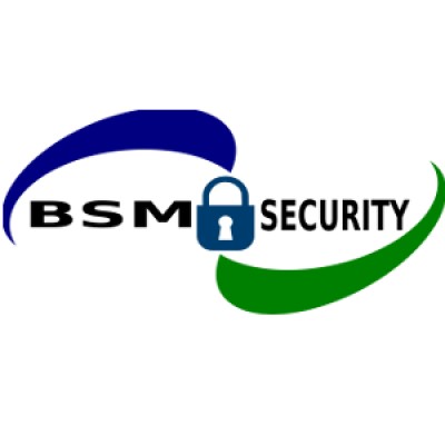 BSM Security's Logo