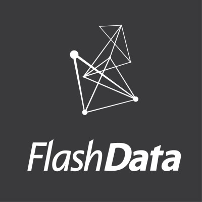 Flash Data's Logo