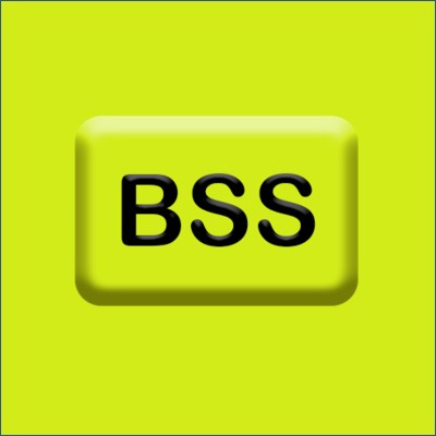 Backup Staff & Solutions's Logo