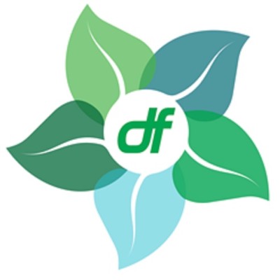 Digital Financial's Logo