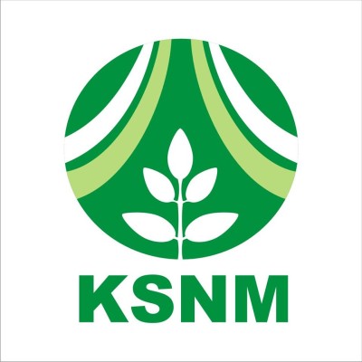 KSNM Marketing's Logo