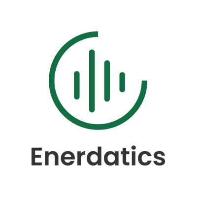 Enerdatics's Logo