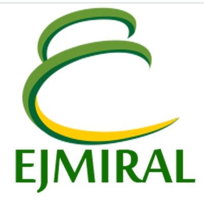 EJMIRAL Aviation Systems's Logo