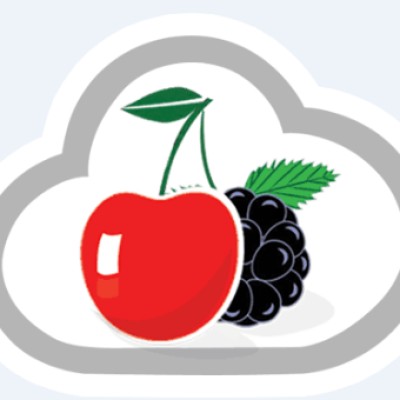 CherryBerryRMS's Logo