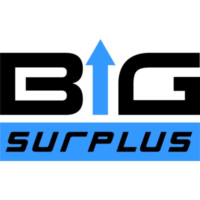 Big Surplus Technology's Logo