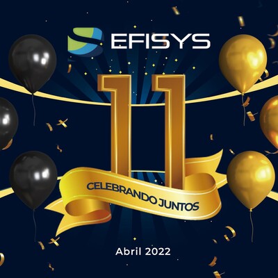 EFISYS's Logo