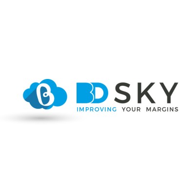 BD SKY Consulting Services's Logo