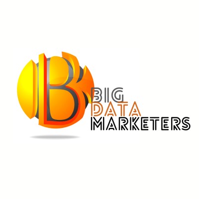 Big Data Marketers's Logo