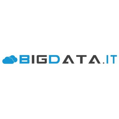 BigData.it's Logo