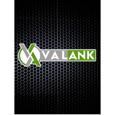 Ankle Valves - VALANK's Logo