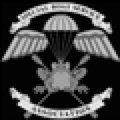 Ad Force Private Security's Logo