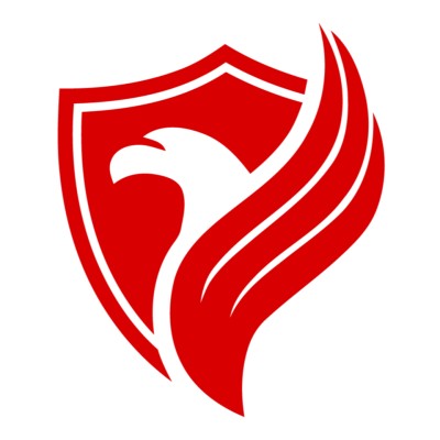 IT Eagle Eye's Logo