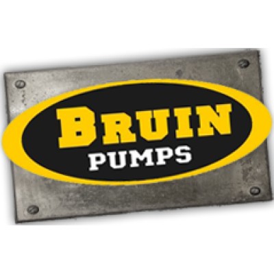 Bruin Instruments Corp.'s Logo