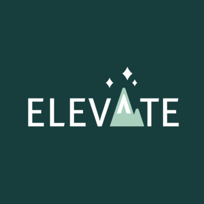 Elevated Data Insights's Logo