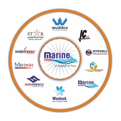 Marine Group's Logo