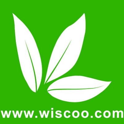 Wiscoo Electronics Company Limited's Logo