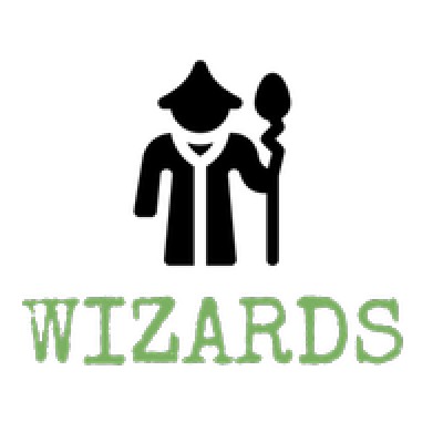 The Networks Wizards's Logo