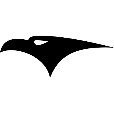 Falcon Security's Logo