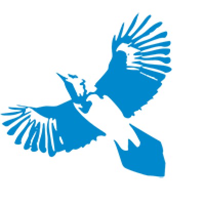 BlueJay's Logo