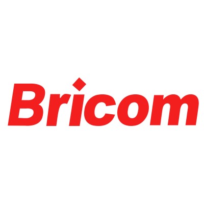 Bricom's Logo