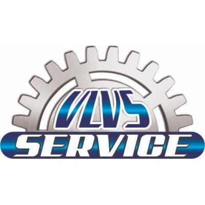 VLVS SERVICE's Logo