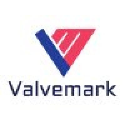 Valvemark Private Limited (Subsidiary of VALMARK DWC LLC Dubai)'s Logo