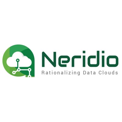 Neridio Systems Private Limited's Logo