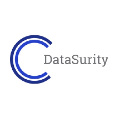 DataSurity's Logo