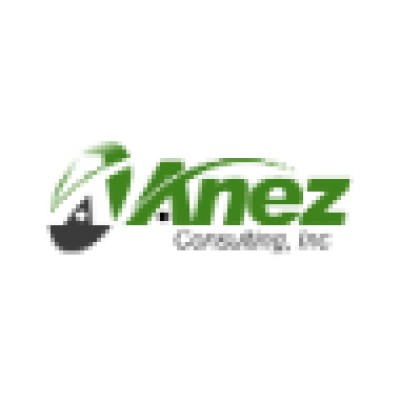 Anez Consulting Inc. Willmar's Logo