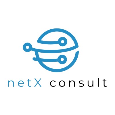 netX consult e.K.'s Logo