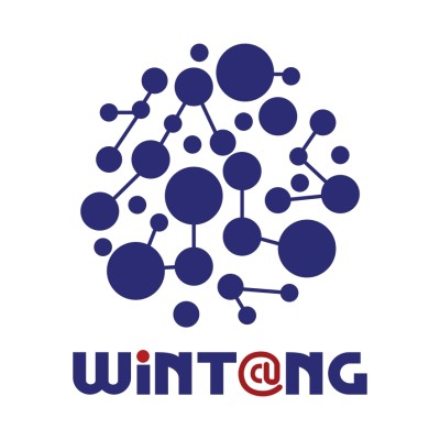 Wintang Network DMCC's Logo