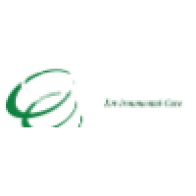 Whirlwind Clean and Green's Logo