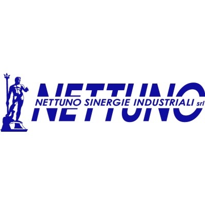 Nettuno Sinergie Industriali's Logo