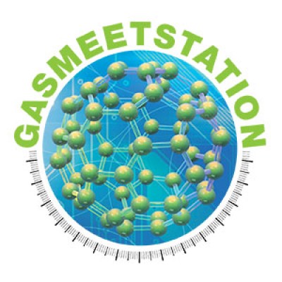 Gasmeetstation Nederland BV's Logo