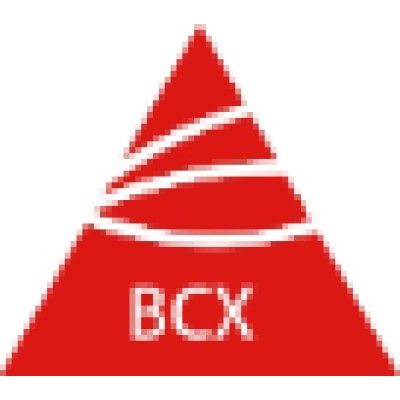 BCX Environmental Consulting's Logo