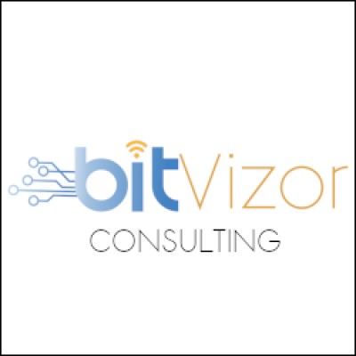 bitVizor Consulting (BCL)'s Logo